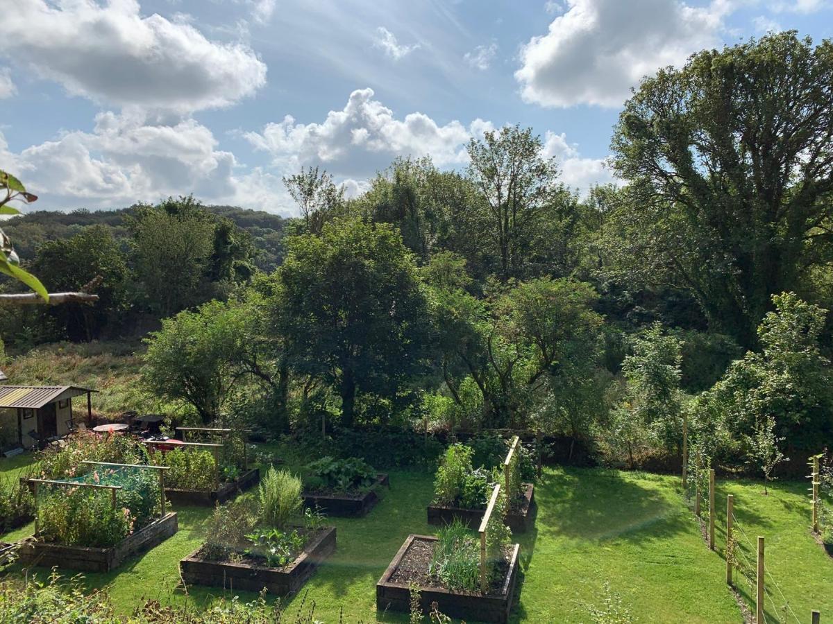 Riverbank House Bed And Breakfast Innishannon Bagian luar foto
