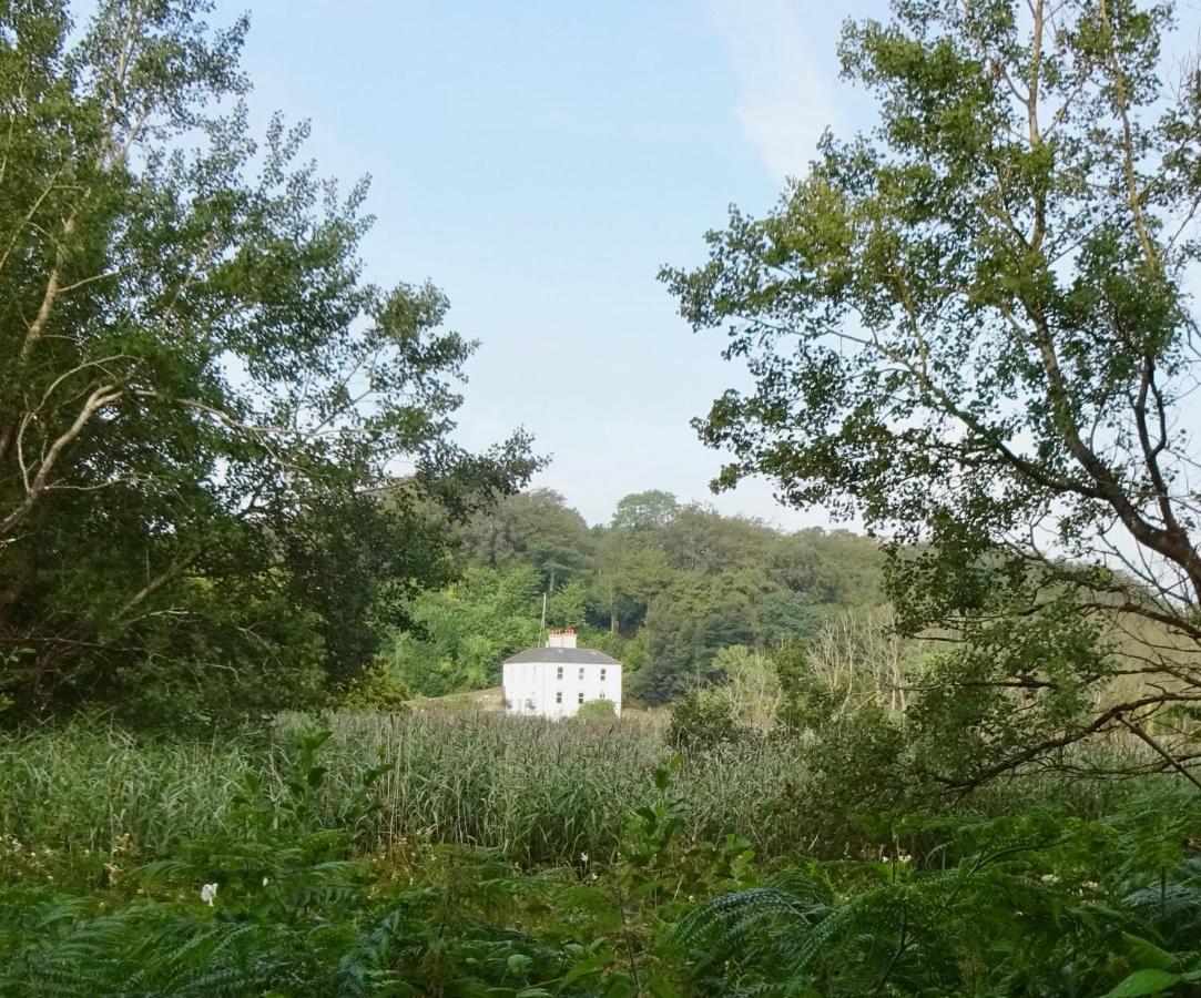 Riverbank House Bed And Breakfast Innishannon Bagian luar foto