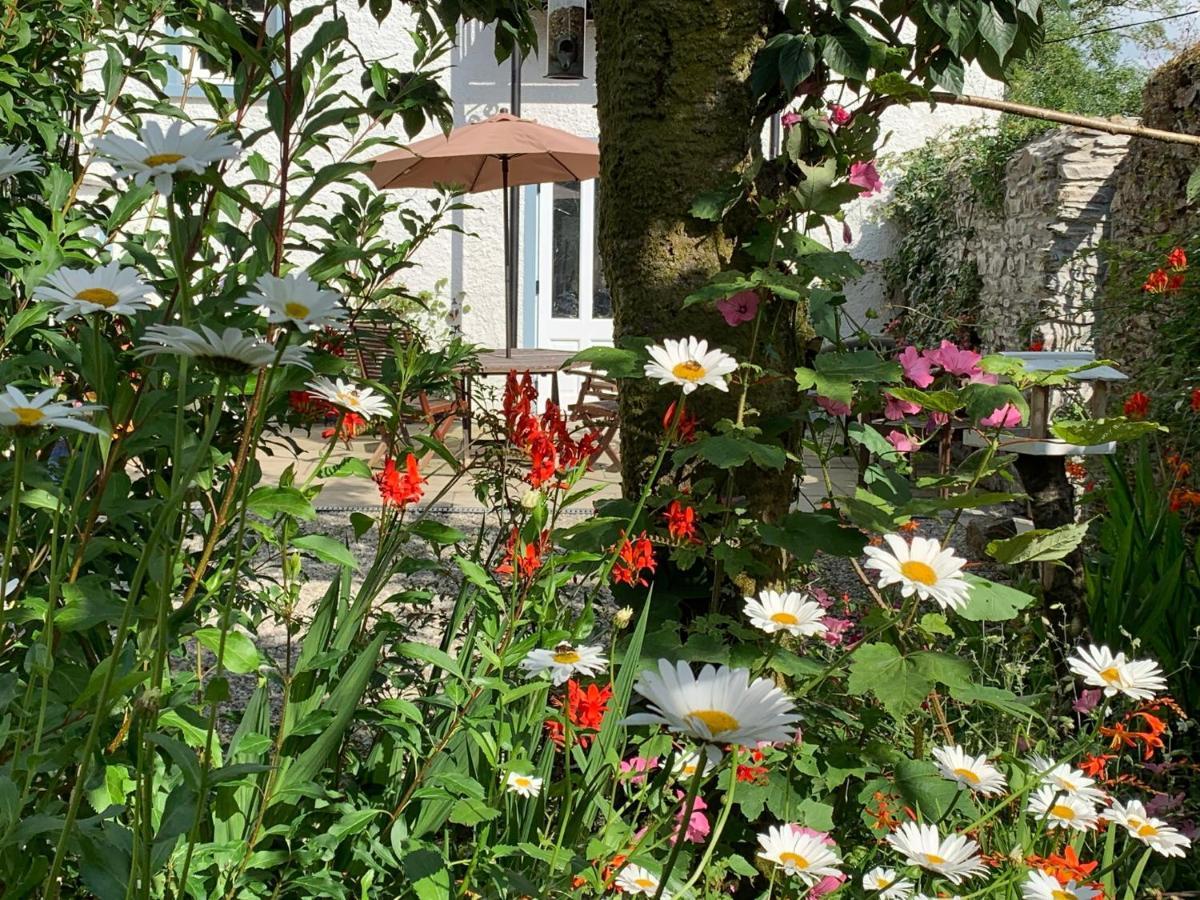 Riverbank House Bed And Breakfast Innishannon Bagian luar foto