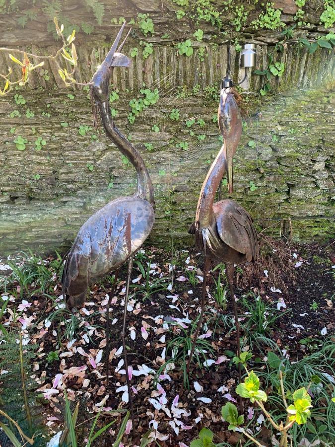 Riverbank House Bed And Breakfast Innishannon Bagian luar foto